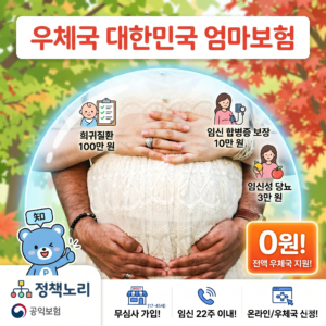 대한민국 엄마보험 